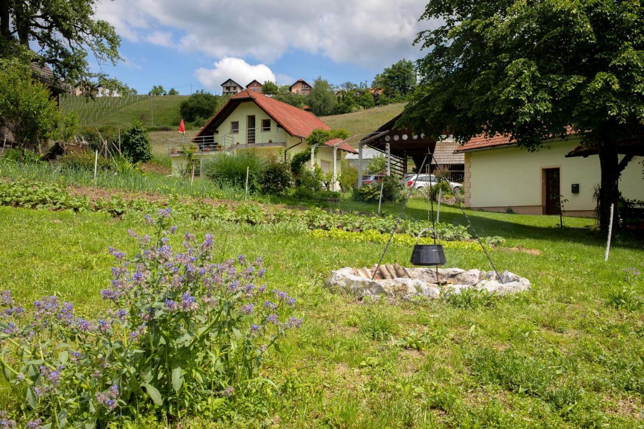 Domacija Vesel